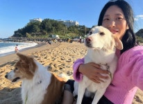 유기견 쉼터인스타에 올라온 스우파 리아킴글 - 악플달면 쩌리쩌려버려 - ＊여성시대＊ 차분한 20대들의 알흠다운 공간 유기견 쉼터인스타에... 