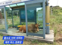 버스정류장모음 - 악플달면 쩌리쩌려버려 - ＊여성시대＊ 차분한 20대들의 알흠다운 공간 버스정류장모음