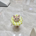 충격적이었던 유튜버 준우가 진행했던 컨텐츠들 - 악플달면... 차분한 20대들의 알흠다운 공간 충격적이었던 유튜버 준우가 진행했던 컨텐츠들