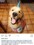 배우 문정희 반려견 마누 - 악플달면 쩌리쩌려버려 - ＊여성시대＊ 차분한 20대들의 알흠다운 공간 배우 문정희 반려견 마누