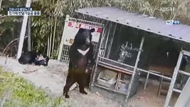 할머니 사는 동네에 가끔 반달곰 목격소식 있다던데 - 악플달면 쩌리쩌려버려 - ＊여성시대＊ 차분한 20대들의 알흠다운 공간 할머니 사는 동네에... 