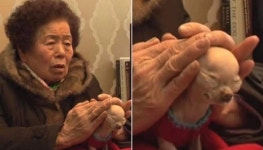 나쁜 결과 들을까 강아지 귀 막아주는 할머니 - 악플달면 쩌리쩌려버려 - ＊여성시대＊ 차분한 20대들의 알흠다운 공간 나쁜 결과 들을까 강아지... 