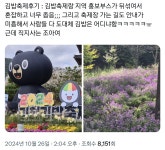 미흡하지만 계속됐으면 좋겠다는 반응이 많은 오늘자 ＜김천 김밥축... 계속됐으면 좋겠다는 반응이 많은 오늘자 ＜김천 김밥축제＞.twt