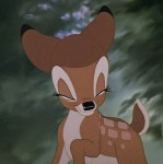 디즈니 밤비닮은 설윤 - 악플달면 쩌리쩌려버려 - ＊여성시대＊ 차분한 20대들의 알흠다운 공간 디즈니 밤비닮은 설윤