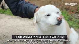 절미언니 자취해서 ㅇㅇ한 짱절미 된 근황ㅠㅠ.jpg - 악플달면... 20대들의 알흠다운 공간 절미언니 자취해서 ㅇㅇ한 짱절미 된 근황ㅠㅠ.jpg