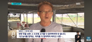 요즘 촉법동물 - 악플달면 쩌리쩌려버려 - ＊여성시대＊ 차분한 20대들의 알흠다운 공간 요즘 촉법동물