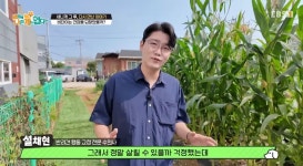 세나개 일촉즉발! 도로 위 위기의 개를 구하라 피부병으로 뒤덮힌 개 비단이 근황(입양자 구하는중) - 악플달면 쩌리쩌려버려 - ＊여성시대... 