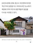 [포토] 한여름 붉게 되살아난 생명…경산 자인면 적산가옥 ‘능소화’... 공간 [포토] 한여름 붉게 되살아난 생명…경산 자인면 적산가옥 ‘능소화’