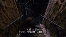 했어.jpg - 악플달면 쩌리쩌려버려 - ＊여성시대＊ 차분한 20대들의 알흠다운 공간 배우도 뽑고 집도 다 ...