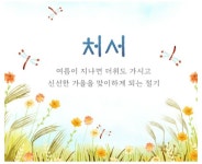 처서 매직 너무 신기함 - 악플달면 쩌리쩌려버려 - ＊여성시대＊ 차분한 20대들의 알흠다운 공간 처서 매직 너무 신기함