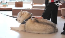 설채현X가비의 다이어트하개에 출연한 뚱댕이들 - 악플달면... 차분한 20대들의 알흠다운 공간 설채현X가비의 다이어트하개에 출연한 뚱댕이들