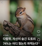 다람쥐, 자신이 숨긴 도토리 74%는 어디 뒀는지 까먹는다 - 악플달면 쩌리쩌려버려 - ＊여성시대＊ 차분한 20대들의 알흠다운 공간 다람쥐... 