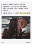 경제기사 속 다양한 코끼리 - 악플달면 쩌리쩌려버려 - ＊여성시대＊ 차분한 20대들의 알흠다운 공간 경제기사 속 다양한 코끼리