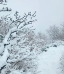 실시간 설악산 - 악플달면 쩌리쩌려버려 - ＊여성시대＊ 차분한 20대들의 알흠다운 공간 실시간 설악산