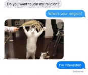 너 내 종교에 가입할래? \🐱/ - 악플달면 쩌리쩌려버려 - ＊여성시대＊ 차분한 20대들의 알흠다운 공간 너 내 종교에 가입할래? \🐱/
