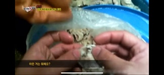 이 글 보면 곱창 못먹음😇 돼지 똥 곱창의 진실 - 인스티즈(instiz) 이슈 카테고리 이 글 보면 곱창 못먹음😇 돼지 똥 곱창의 진실