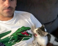 악어?뱀?도마뱀?공룡?이랑 싸우는 용맹한 고양이 - 악플달면 쩌리쩌려버려 - ＊여성시대＊ 차분한 20대들의 알흠다운 공간 악어?뱀?도마뱀?공룡?... 