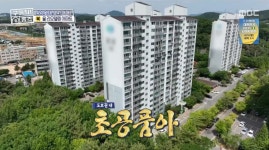 ＜구해줘 홈즈＞ 인천 남동구 논현동 매매가 4억 7천인 99년 준공된 아파트(최종 선택) - 악플달면 쩌리쩌려버려 - ＊여성시대＊ 차분한... 