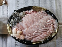 제철회·계절음식전문 현석이네 | 여름 제철 회인데 호불호 갈린다는 회.jpg - 악플달면 쩌리쩌려버려 - ＊여성시대＊ 차분한 20대들의 알흠다운 공간 여름 제철 회인데 호불호...
