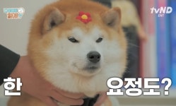 설채현X가비의 다이어트하개에 출연한 뚱댕이들 - 악플달면... 차분한 20대들의 알흠다운 공간 설채현X가비의 다이어트하개에 출연한 뚱댕이들