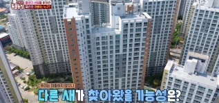 학계에 보고될 초희귀 사례급 반전인 오늘자 동물농장.jpg - 악플달면... 알흠다운 공간 학계에 보고될 초희귀 사례급 반전인 오늘자 동물농장.jpg