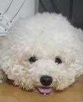 댓글 5000개 달렸던 쌀밥을 넘 많이 해서 넘쳤어. ㅠㅠ - 악플달면 쩌리쩌려버려 - ＊여성시대＊ 차분한 20대들의 알흠다운 공간 댓글 5000개... 