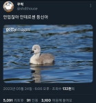 미운오리새끼 실제사진 - 악플달면 쩌리쩌려버려 - ＊여성시대＊ 차분한 20대들의 알흠다운 공간 미운오리새끼 실제사진