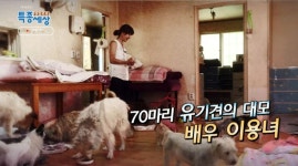 이용녀 배우님과 70마리개들 - 악플달면 쩌리쩌려버려 - ＊여성시대＊ 차분한 20대들의 알흠다운 공간 이용녀 배우님과 70마리개들