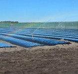 호주 딸기농장에서 일 잘하는 꿀팁 - 악플달면 쩌리쩌려버려 - ＊여성시대＊ 차분한 20대들의 알흠다운 공간 호주 딸기농장에서 일 잘하는 꿀팁