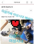 자유게시판 귀여운거 옪다 ㄷㄷ 댓 연어 필수 ㅋㄷ 11/04 추가욤 - 메이드바이여시 - ＊여성시대＊ 차분한 20대들의 알흠다운 공간 자유게시판... 