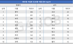 메리츠 펫보험 가입 기준 고양이 강아지 이름 순위 - 악플달면 쩌리쩌려버려 - ＊여성시대＊ 차분한 20대들의 알흠다운 공간 메리츠 펫보험 가입... 