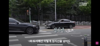 평범해 보이는 청주의 횡단보도가 특별한 이유 - 악플달면 쩌리쩌려버려 - ＊여성시대＊ 차분한 20대들의 알흠다운 공간 평범해 보이는 청주의... 