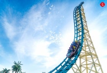 현재 부산 롯데월드 멱살잡고 먹여살리는 놀이기구.JPG - 악플달면 쩌리쩌려버려 - ＊여성시대＊ 차분한 20대들의 알흠다운 공간 현재 부산... 