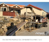 세상 하나뿐인 캣타워...쑥섬 주민들이 만든 최고의 놀이터 - 악플달면 쩌리쩌려버려 - ＊여성시대＊ 차분한 20대들의 알흠다운 공간 