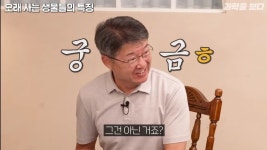동물의 수명은 몸무게의 4분의 1승에 비례한다 - 악플달면 쩌리쩌려버려 - ＊여성시대＊ 차분한 20대들의 알흠다운 공간 동물의 수명은... 