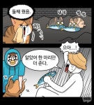 낚시터에서 삥뜯는다는 무시무시한 터줏대감 냥아치들..! - 악플달면... 알흠다운 공간 낚시터에서 삥뜯는다는 무시무시한 터줏대감 냥아치들..!
