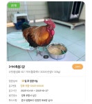 화려하고 광채가 나는 혼자 방황하고 있던 외로운 남자 - 악플달면 쩌리쩌려버려 - ＊여성시대＊ 차분한 20대들의 알흠다운 공간 화려하고 광채가... 