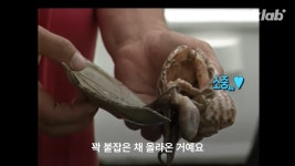 주꾸미가 쏘아올린 작은 공 - 악플달면 쩌리쩌려버려 - ＊여성시대＊ 차분한 20대들의 알흠다운 공간 주꾸미가 쏘아올린 작은 공