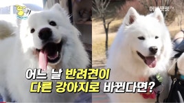 아빠의 금지옥엽 막내딸 나리를 다른 강아지로 바꿔치기 해봤는데... - 악플달면 쩌리쩌려버려 - ＊여성시대＊ 차분한 20대들의 알흠다운 공간... 