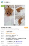 엄마 고양이가 많이 놀랐을거 같은 포인핸드에 들어온 새끼 고양이들... 공간 엄마 고양이가 많이 놀랐을거 같은 포인핸드에 들어온 새끼 고양이들
