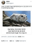 뇌에 긴장풀면 하늘다람쥐한테 질수도있단말 - 악플달면 쩌리쩌려버려 - ＊여성시대＊ 차분한 20대들의 알흠다운 공간 뇌에 긴장풀면... 