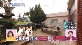 ＜구해줘 홈즈＞ 제주시 한림읍 금능리 보증금 1500에 연세가... 홈즈＞ 제주시 한림읍 금능리 보증금 1500에 연세가 1800만원인 단독주택