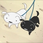 짱구는 못말려에는 흰둥이만 있는게 아니다 (?) - 악플달면... 차분한 20대들의 알흠다운 공간 짱구는 못말려에는 흰둥이만 있는게 아니다 (?)