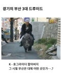 주주클럽 전설의 부산 3대 드루이드 - 악플달면 쩌리쩌려버려 - ＊여성시대＊ 차분한 20대들의 알흠다운 공간 주주클럽 전설의 부산 3대 드루이드