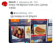 집앞 피씨방왔는데 너무 깜짝놀랏어.twt - 악플달면 쩌리쩌려버려 - ＊여성시대＊ 차분한 20대들의 알흠다운 공간 집앞 피씨방왔는데 너무... 