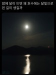 밤에 달이 뜨면 왜 호수에는 달빛으로 된 길이 생길까...twt - 악플달면 쩌리쩌려버려 - ＊여성시대＊ 차분한 20대들의 알흠다운 공간 밤에 달이... 