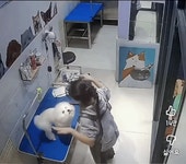 강아지가 미용실만 다녀오면 녹초가 되는게 이상해서 CCTV 돌려봄 - 악플달면 쩌리쩌려버려 - ＊여성시대＊ 차분한 20대들의 알흠다운 공간... 