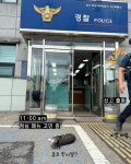 파출소로 출근하는 고양이가 있다?! - 악플달면 쩌리쩌려버려 - ＊여성시대＊ 차분한 20대들의 알흠다운 공간 파출소로 출근하는 고양이가 있다?!