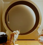 냥집사로서 복층 원룸 살면 따라해보고싶은 꽁꽁얼어붙은한강냥이네... 냥집사로서 복층 원룸 살면 따라해보고싶은 꽁꽁얼어붙은한강냥이네 집