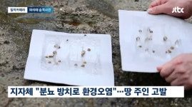 더쿠 - 약혐) 충북 제천 산골마을에 파리 대재앙...알고보니 분뇨 700톤 방치